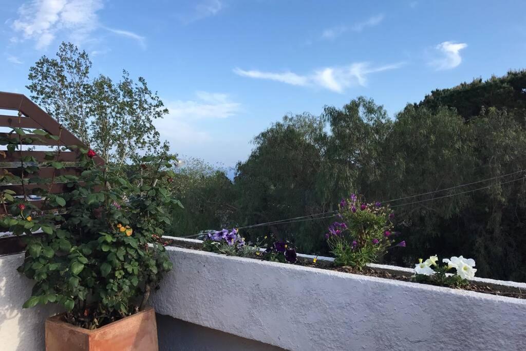 Villa Casita Blanca Con Fibra Optica Y Piscina Cominutaria à Tossa de Mar Extérieur photo